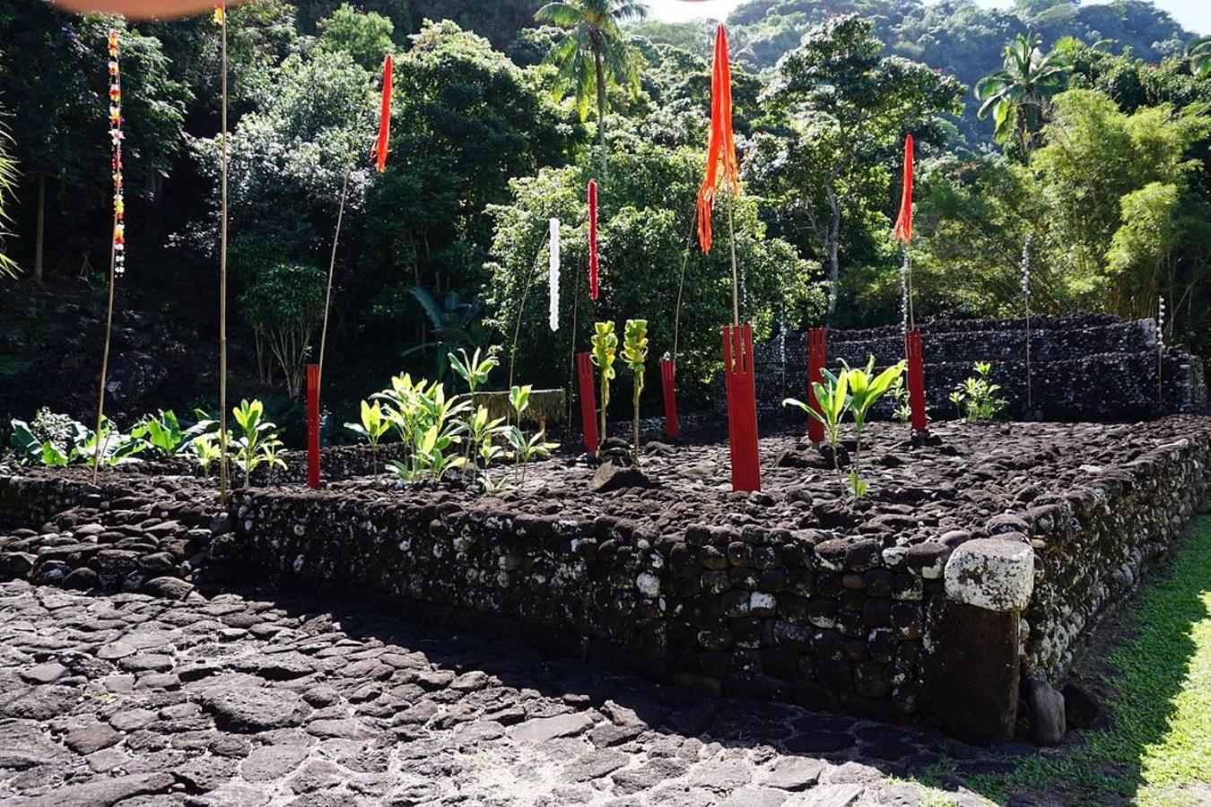 Pension Te Miti - Plage-Beach 200M - Mahana Parc & Vaiava Beach Pk18 - B&B Chambres Ou Dortoir Punaauia  Luaran gambar