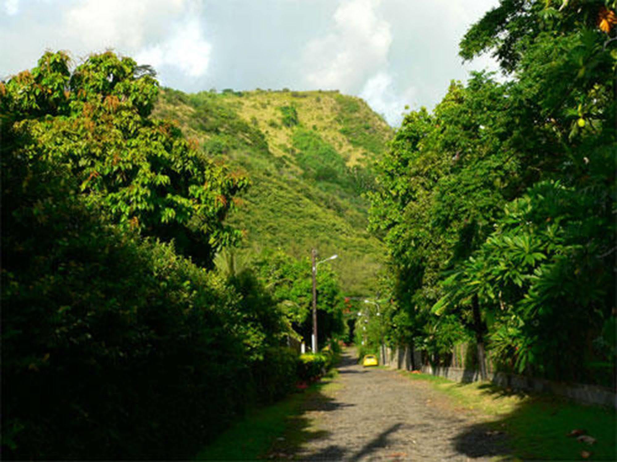 Pension Te Miti - Plage-Beach 200M - Mahana Parc & Vaiava Beach Pk18 - B&B Chambres Ou Dortoir Punaauia  Luaran gambar
